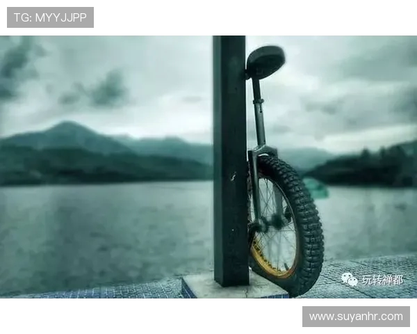 深圳极限运动队灵活性对比分析与发展趋势探讨